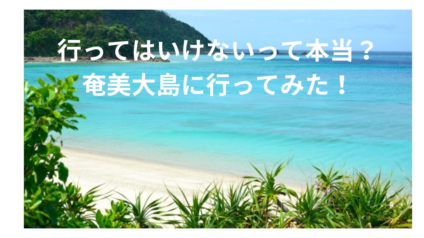 奄美大島 行っては いけない